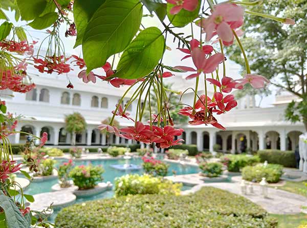 OnePlus Nord CE 2 5G Review: Cameras