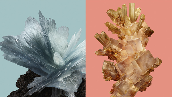 Get These Sweet New Google Pixel 8 Wallpapers