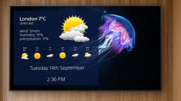 Sony Introduces BZ50L Series: Professional BRAVIA Displays for Commerc Sony Introduces BZ50L Series: Professional BRAVIA Displays for Commerc