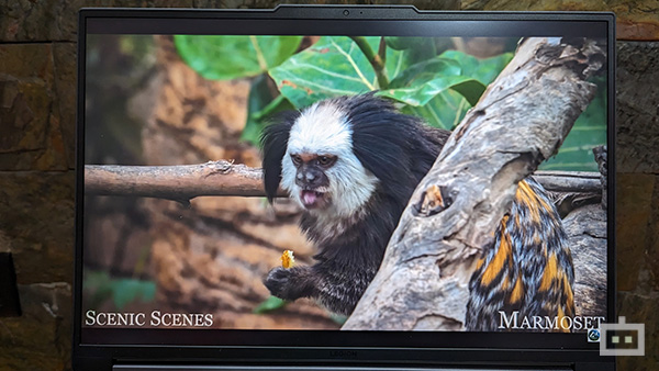 Lenovo Legion Slim 5i Review