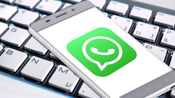 WhatsApp Introduces Blue Checkmark For Verified Businesses And Channel WhatsApp Introduces Blue Checkmark For Verified Businesses And Channel