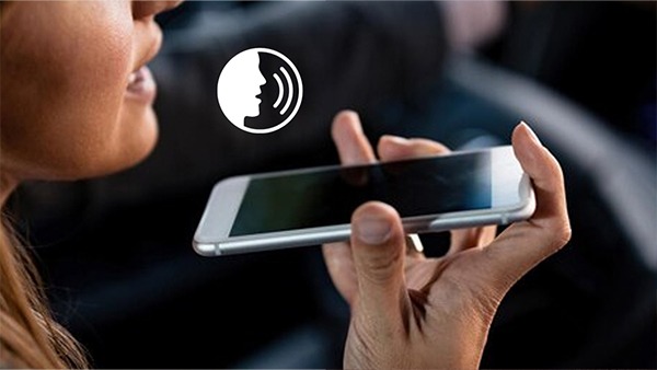 Customise Your Voice Assistant for Efficiency