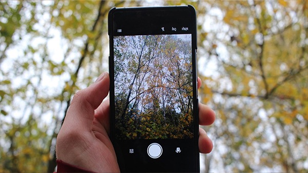 Enhance Your Smartphone Photography Skills Today