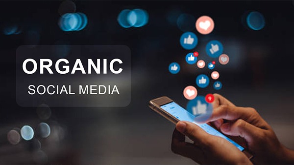 Grow Your Organic Social Media Following Effectively