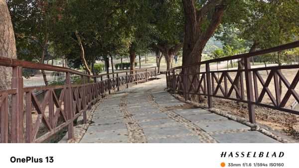 OnePlus 13 Review: Is This Your Next Daily Driver?