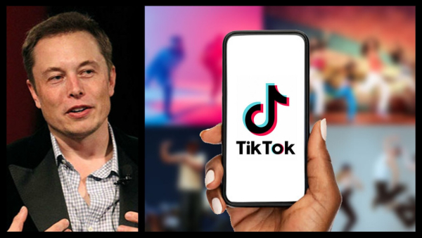 Elon Musk Could Take Over TikTok's Operations in the US