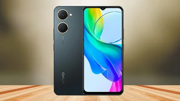 Vivo Takes the Lead in the Indian Smartphone Market for 2024
