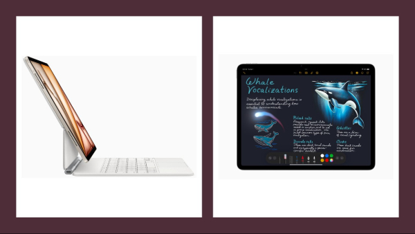 Apple iPad Air (7th Gen) Launched in India: Specifications and Pricing