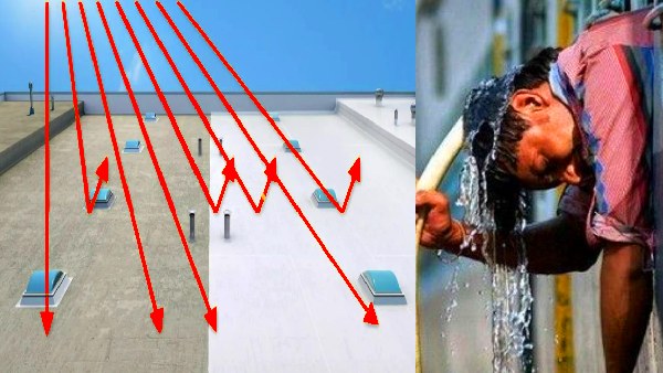 Delhi Rolls Out Cool Roof Technology to Beat the Summer Heat