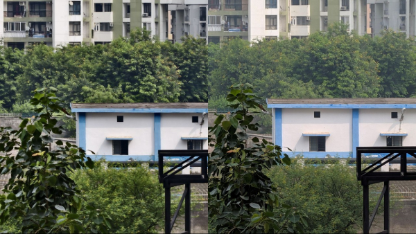 Google Pixel 10 vs Vivo X200 FE: In-Depth Camera Comparison