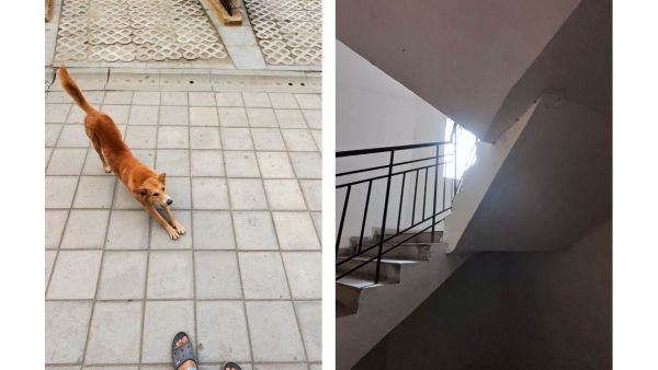 Oakley Meta HSTN Review: My Favourite Tech Purchase of 2025