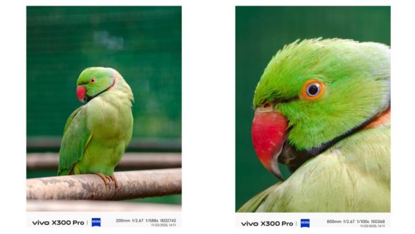 Meet the Vivo X300 Series: Vivo’s Boldest Flagships Yet