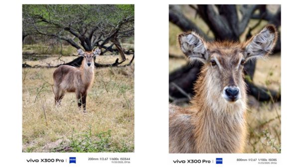 Meet the Vivo X300 Series: Vivo’s Boldest Flagships Yet