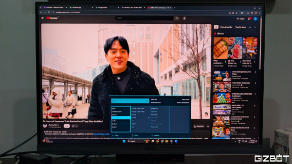 BenQ RD240Q Programming Monitor Review
