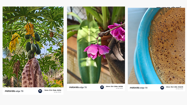 Motorola Edge 70 Review: Sleek and Sensible in the Mid-Range