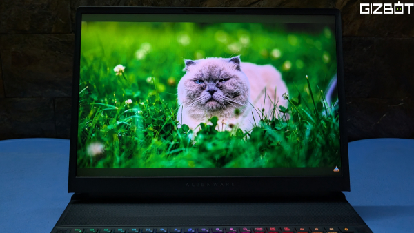 Alienware 18 Area 51: Display