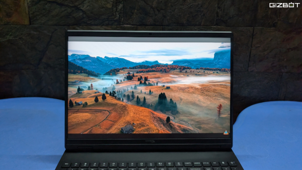 HP HyperX Omen 15 Review: Display