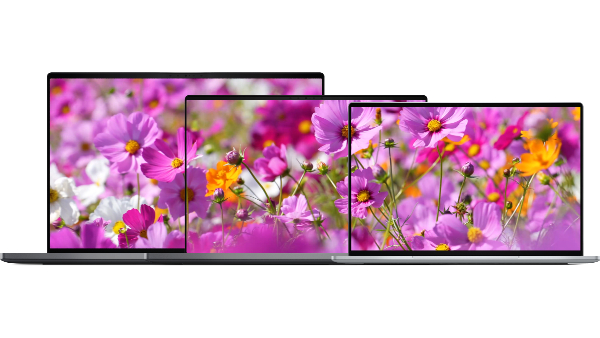 Dell 14S,16S, Alienware, XPS 13 Laptops Launched in India