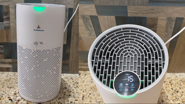 Wozoyo Pure Air PA5 Air Purifier Review: Value for Money
