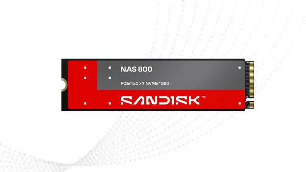 Sandisk Launches NAS 600 SATA and NAS 800 PCIe 5.0 SSDs in India