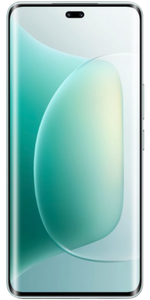 Honor 300 Pro