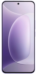 Honor 300