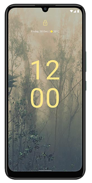 Nokia C31