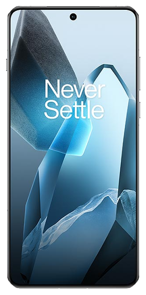 OnePlus 13