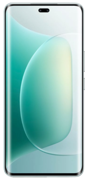 Honor 300 Pro