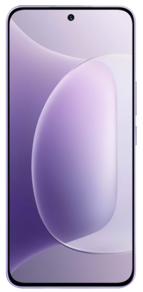 Honor 300