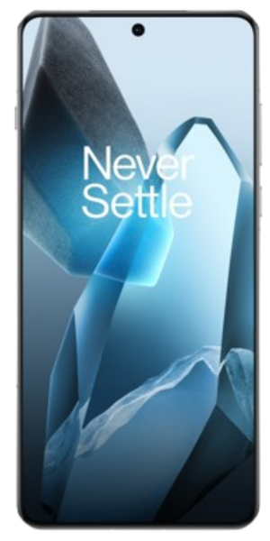 OnePlus 13