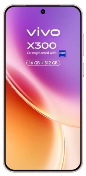 vivo X300 FE 512GB