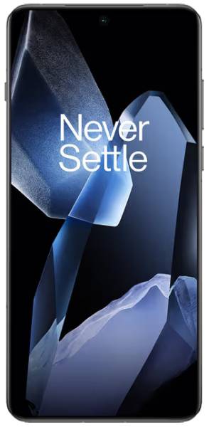 OnePlus 13