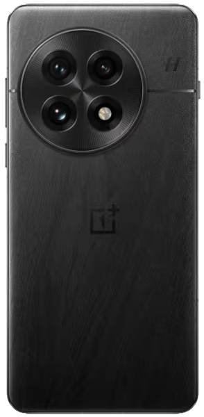 OnePlus 13