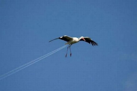 amazing photoshop pics amazing photoshop pics