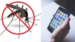 ಈ ಆಪ್‌ಗಳು ಫೋನ್‌ನಲ್ಲಿದ್ರೆ ಮನೆಯಲ್ಲಿ ಸೊಳ್ಳೆಗಳು ನಿಮ್ಮ ಹತ್ತಿರವೇ ಸುಳಿಯಲ್ಲ!  