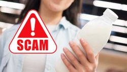 online scam: ಹಾಳಾದ ಹಾಲಿನಿಂದಾಗಿ ಆನ್‌ಲೈನ್‌ ಮೂಲಕ 77,000 ರೂ.ಕಳೆದುಕೊಂಡ ಬೆಂಗಳೂರು ಮಹಿಳೆ! ಹೇಗೆ ಗೊತ್ತಾ?  