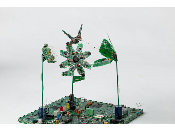 ಚಿಪ್‌ ಹೂ