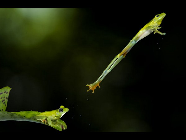 ಸೋನಿ ಫೋಟೋಗ್ರಾಫಿಕ್‌ ಅವಾರ್ಡ್‌ ಪಡೆದ ಫೋಟೋಗಳು