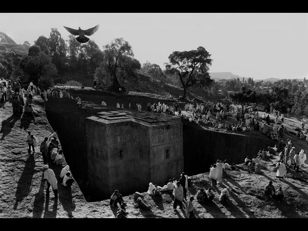 ಸೋನಿ ಫೋಟೋಗ್ರಾಫಿಕ್‌ ಅವಾರ್ಡ್‌ ಪಡೆದ ಫೋಟೋಗಳು