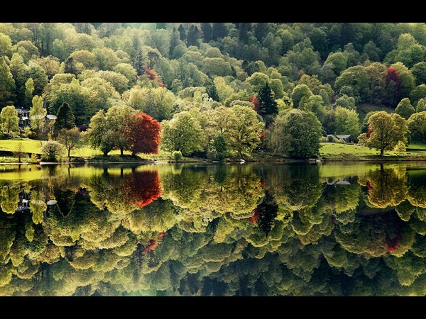 ಸೋನಿ ಫೋಟೋಗ್ರಾಫಿಕ್‌ ಅವಾರ್ಡ್‌ ಪಡೆದ ಫೋಟೋಗಳು
