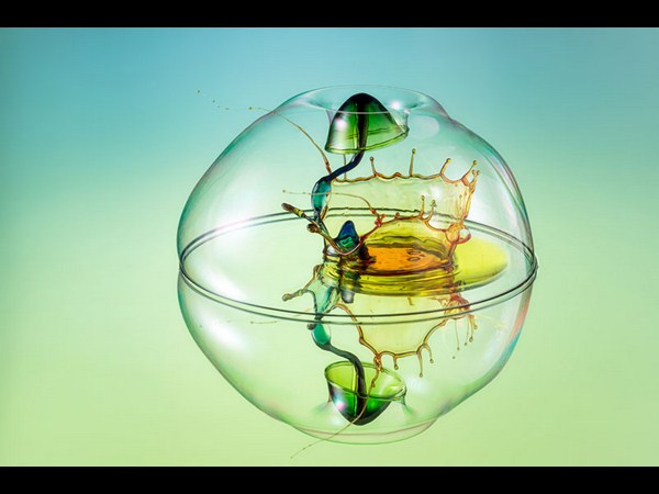 ಸೋನಿ ಫೋಟೋಗ್ರಾಫಿಕ್‌ ಅವಾರ್ಡ್‌ ಪಡೆದ ಫೋಟೋಗಳು