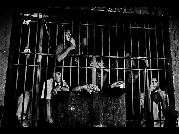 ಸೋನಿ ಫೋಟೋಗ್ರಾಫಿಕ್‌ ಅವಾರ್ಡ್‌ ಪಡೆದ ಫೋಟೋಗಳು