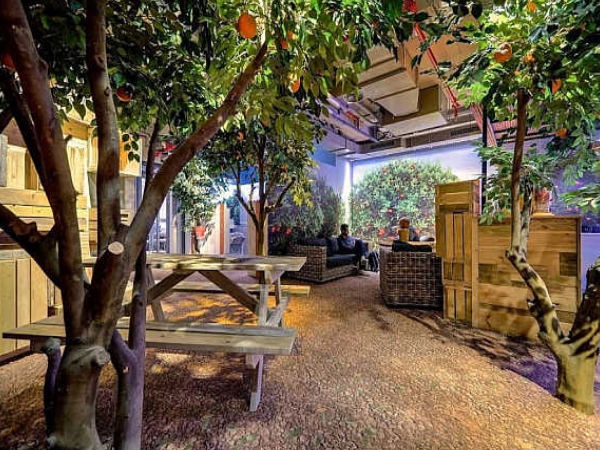 ಸುಂದರ ಇಸ್ರೇಲ್‌ ಗೂಗಲ್‌ ಆಫೀಸ್‌ನ್ನು ನೋಡಿದ್ದೀರಾ ?