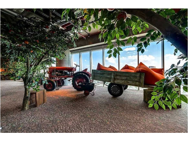 ಸುಂದರ ಇಸ್ರೇಲ್‌ ಗೂಗಲ್‌ ಆಫೀಸ್‌ನ್ನು ನೋಡಿದ್ದೀರಾ ?