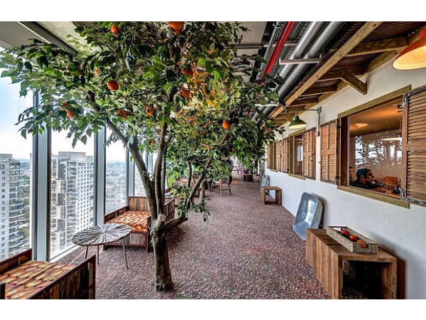 ಸುಂದರ ಇಸ್ರೇಲ್‌ ಗೂಗಲ್‌ ಆಫೀಸ್‌ನ್ನು ನೋಡಿದ್ದೀರಾ ?