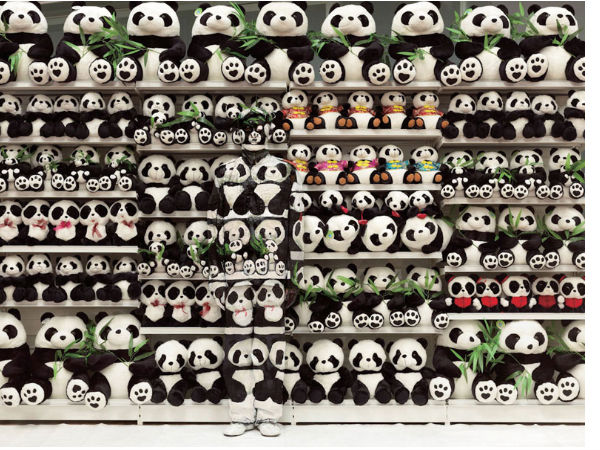 ಚಿತ್ರದೊಳಗೊಬ್ಬ ಅದೃಶ್ಯ ಮಾನವ ..!