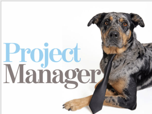 ಆರ್ಥಿಕ ಹಿಂಜರಿತವಾದ್ರೂ ಪೆಟ್ಟು ಬೀಳದ ಕ್ಷೇತ್ರಗಳಿವು