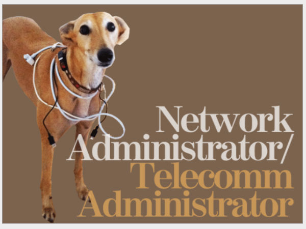 ಆರ್ಥಿಕ ಹಿಂಜರಿತವಾದ್ರೂ ಪೆಟ್ಟು ಬೀಳದ ಕ್ಷೇತ್ರಗಳಿವು