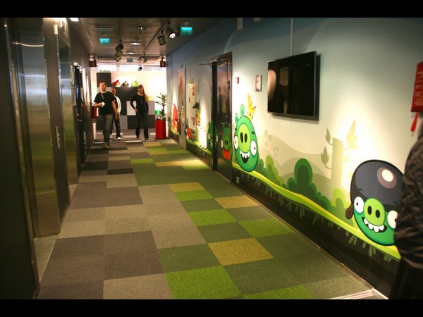 ಆಂಗ್ರಿ ಬರ್ಡ್ಸ ಆಫೀಸ್‌  ಹೇಗಿದೆ ಗೊತ್ತಾ ?